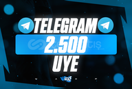 ⭐[KALİTE] Telegram 2500 Grup/Kanal Üye
