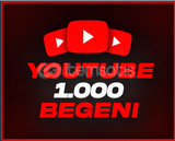 Kaliteli Youtube 1000 Beğeni