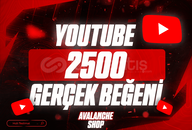 ⭐KALİTELİ | YOUTUBE 2500 GERÇEK BEĞENİ⭐