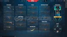 Kaos, Asil Vandallı Hesap