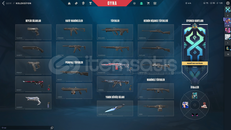 KAOS VANDAL ANOMALİ KELEBEK + PLAT HESAP 