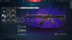 ✨ KAOS Vandal + Evori Vandal Ömürlük Hesap