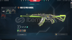 RGX KAOS VANDAL + KARAMBİT / MAİLLİ HESAP