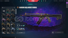 KAOS VANDAL TR KURULUM MAİLLİ HESAP