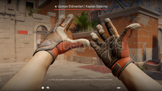  Kaplan Saldırısı (Savaş Görmüş)