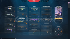 KARAMBİT 2 VANDAL PHANTOM OP GHOSTLU HESAP