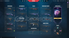 KARAMBİT EXO KILIÇ 2 VANDAL PHANTOMLU HESAP