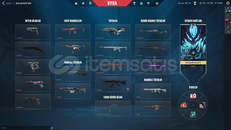 8 skinli setli ve karambitli iyi hesap