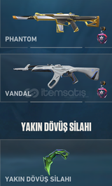 VTC Karambit ve Skinli Hesap