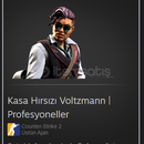 Kasa Hırsızı Voltzmann | Profesyoneller İNDİRİM