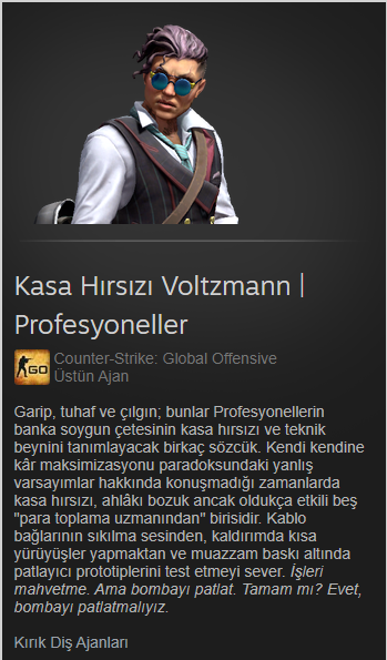 Safecracker voltzmann the professionals. название агентов в кс го. агент взломщица. взломщица вольцманн | профессионалы. взломщица вольцман кс го.