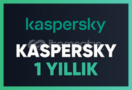 KASPERSKY 1 YILLIK SORUNSUZ KİŞİSEL EPOSTAYA