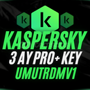 Kaspersky Total Security Key Garantili(Pro)