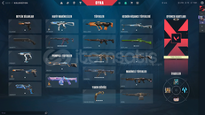 Kendi Main Hesabım Satiyorum (AÇIKLAMAYI OKU)