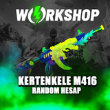 KERTENKELE M416 RANDOM HESAP