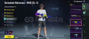 Kertenkeleli mükemmel hesap 