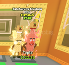 Ketchuru and Musturu 127.5m