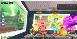 KETCHURU AND MUSTURU 42.5M