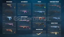 ASİL SET CHAMPİONS VANDAL EJDER SHERİFF GOLD2 