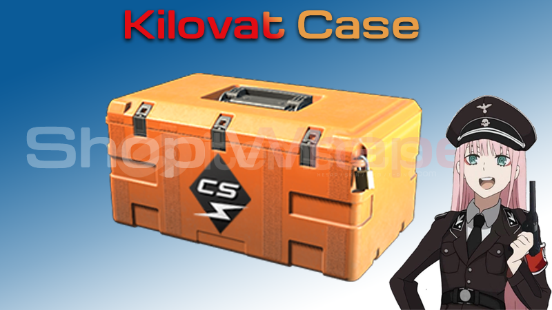 Kilowatt Case (Kilovat Kasası) Kilowatt Case (Kilovat Kasası)