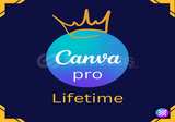 ♕⛄KİŞİSEL MAİLİNİZE DAVET | CANVA PRO