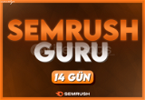 Semrush Guru 14 Days | MOMENTARY