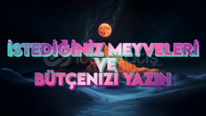 KİŞİYE ÖZEL FRUİT PAKETİ (Blox Fruit)