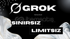 Kişiye Özel Grok 4 Heavy