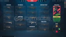 KÖKEN VANDAL ASİL PHANTOMLU MAİLLİ HESAP