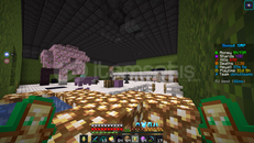 Köylü Base 30m den satılır