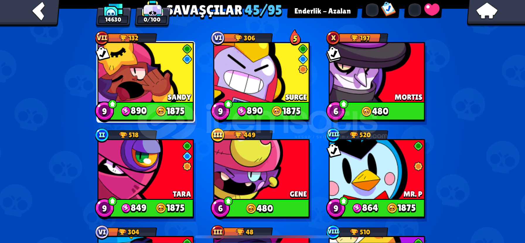 KRAL LOU|2BP 45/95 14.6K 40 SKIN KRAL LOU|2BP 45/95 14.6K 40 SKIN