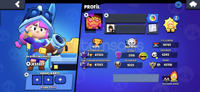 Kupa titanı hesap 28x35 rank 5x new masterli