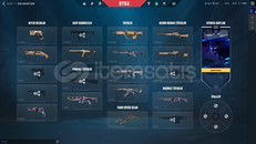 KURONAMI BIC, 2 PHANTOM 1 VANDALLI GOLD HESAP