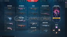 KURONAMİ VANDAL ORTA DÜZEY HESAP