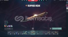 KURONOMİ VANDAL TR SUNUCU HESAP ACİL