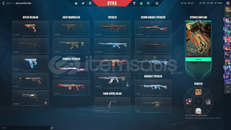 Kuronomi vandallı yağmacı karambitli hesap