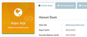 Kurumsal & SEO Uyumlu Premium Domain