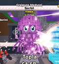 Graipuss Medussi