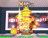 7 Mutasyon✨LA TACO COMBİNASİON✨ Steal A Brainrot