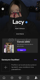 Lacy spotify sanatçı hesabı