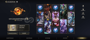 League Of Legends Wild Rift Hesabı 204 Köstüm League Of Legends Wild Rift Hesabı 204 Köstüm