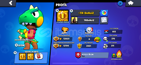 Leon main 12 K kupa Silhşör colt deseni