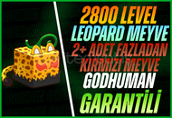 Leopard Meyve+ 2+ Kırmızı Meyve+GDH+2800 LVL Leopard Meyve+ 2+ Kırmızı Meyve+GDH+2800 LVL