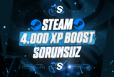 ⭐️[LEVEL BOOST] STEAM - 40 SET - 4.000 XP ⭐️