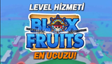 Level Hizmeti Blox Fruit