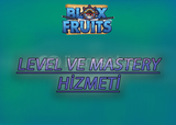 Level ve Mastery Hizmeti