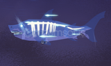 LIMITED GIANT PHANTOM MEGALODON SADECE 29.99TL