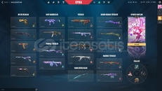 Limited Skin ve Bıçak Dolu Hesap |Mail Değişen