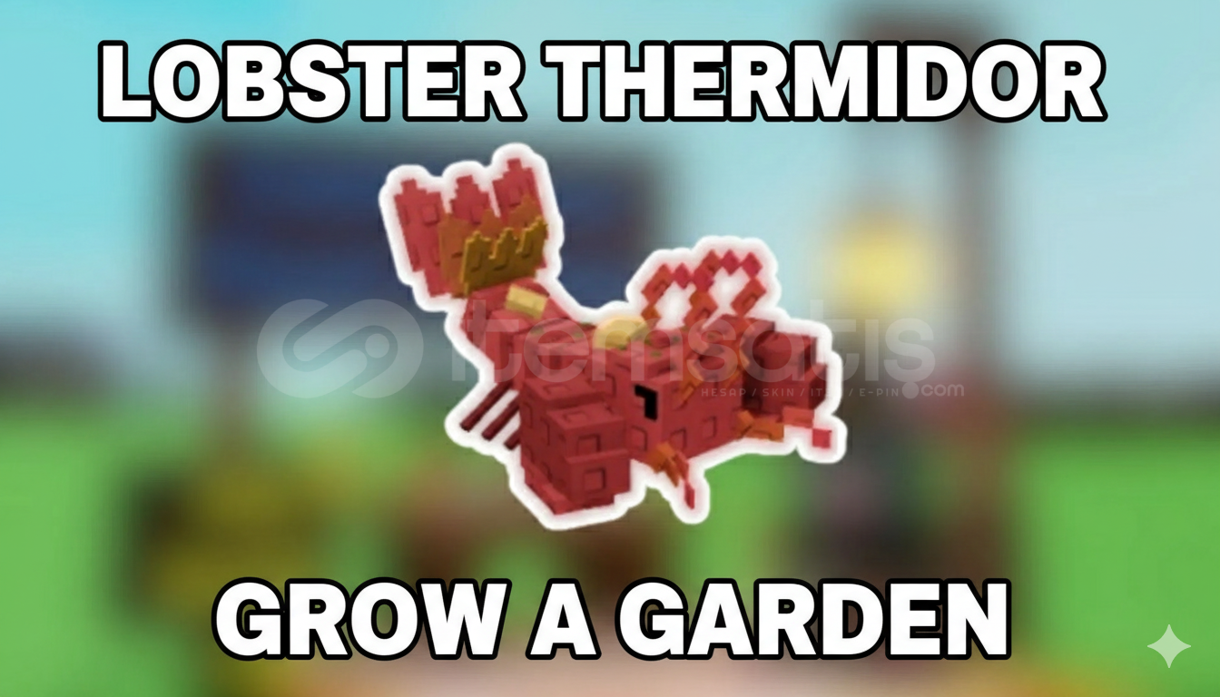 (2 ADET) Lobster Thermidor En UYGUN Satış !! (2 ADET) Lobster Thermidor En UYGUN Satış !!