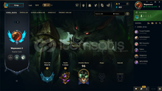 LoL Elo Platin Hesap